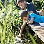 מלון Trattnig 4*