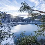 Trattnig מלון 4*