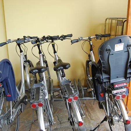 Trattnig دوبرياخ